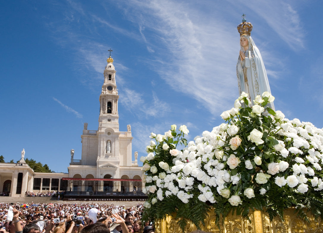 Domingo de Ramos | Fátima