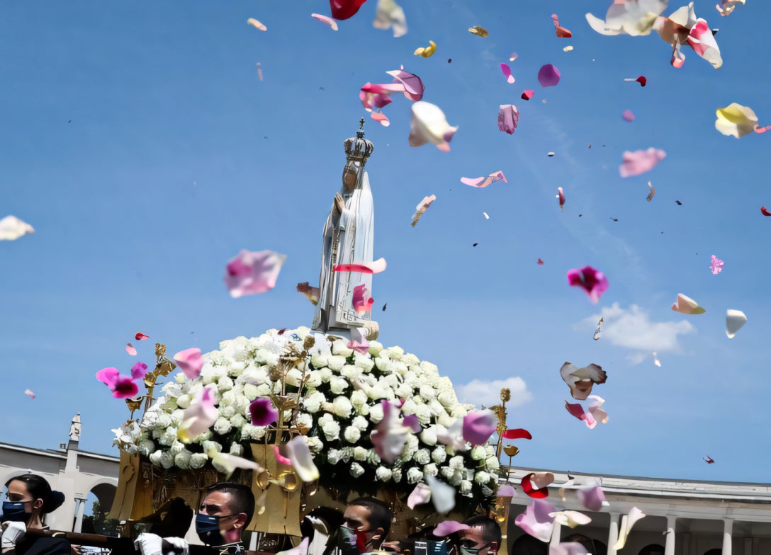 Domingo de Ramos | Fátima